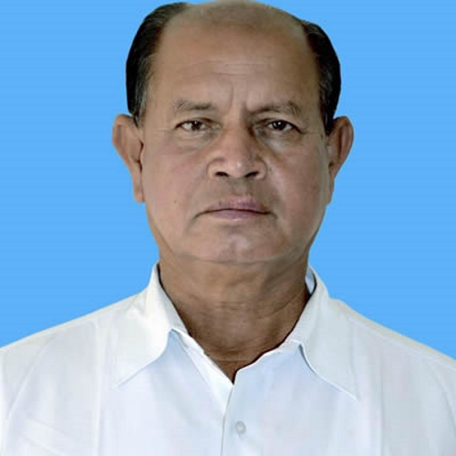 Patkar Ramanlal Nanubhai photo